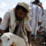 Paul Nevin Yemen Photo Market at Bayt al-Faqih